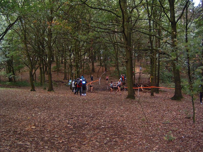 BMAF XC Relays - Mansfield 2008