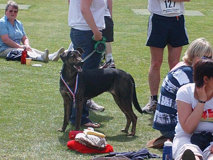 Peebles Beltane 10k 2010
